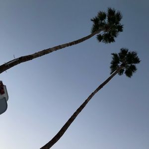 Meet your Posher, Angie